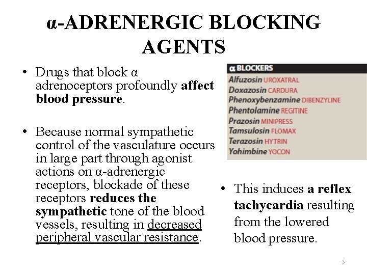 α-ADRENERGIC BLOCKING AGENTS • Drugs that block α adrenoceptors profoundly affect blood pressure. •