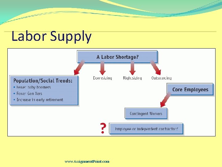 Labor Supply www. Assignment. Point. com 