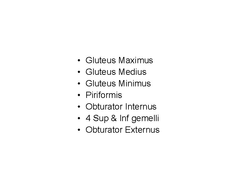  • • Gluteus Maximus Gluteus Medius Gluteus Minimus Piriformis Obturator Internus 4 Sup