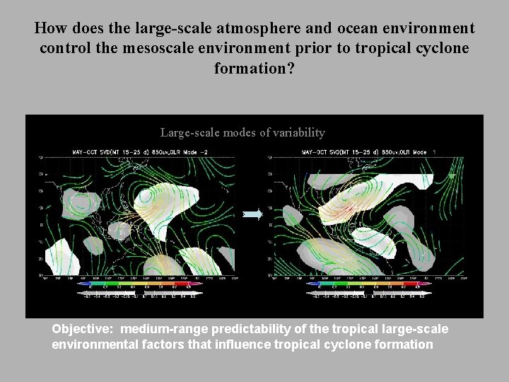 How does the large-scale atmosphere and ocean environment control the mesoscale environment prior to