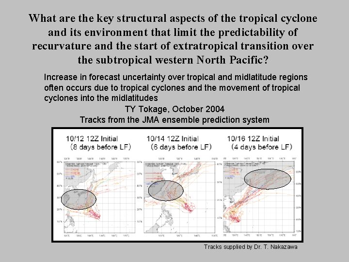 What are the key structural aspects of the tropical cyclone and its environment that