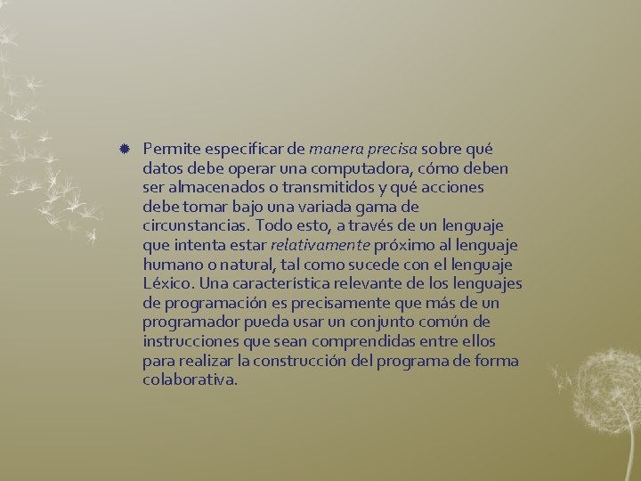  Permite especificar de manera precisa sobre qué datos debe operar una computadora, cómo