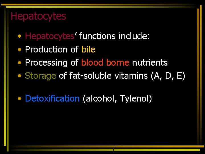 Hepatocytes • • Hepatocytes’ functions include: Production of bile Processing of blood borne nutrients