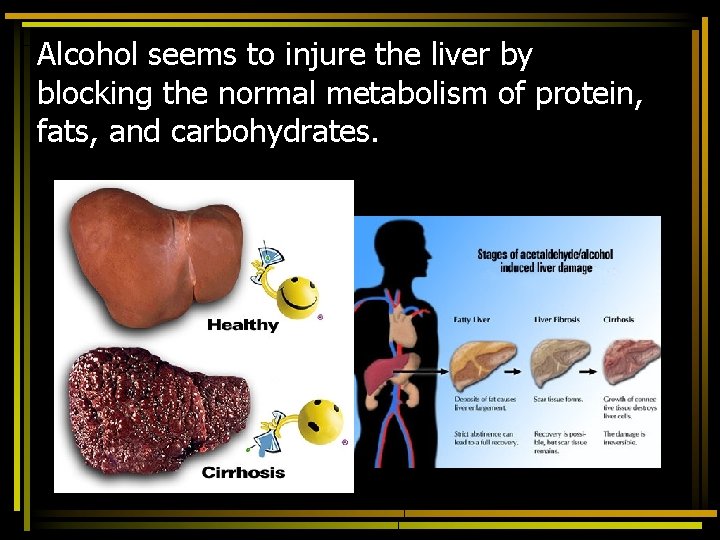 Alcohol seems to injure the liver by blocking the normal metabolism of protein, fats,