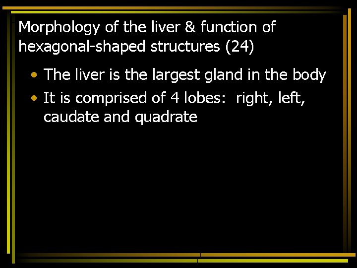 Morphology of the liver & function of hexagonal-shaped structures (24) • The liver is