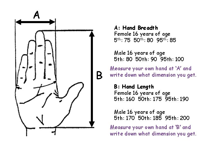 A A: Hand Breadth Female 16 years of age 5 th: 75 50 th: