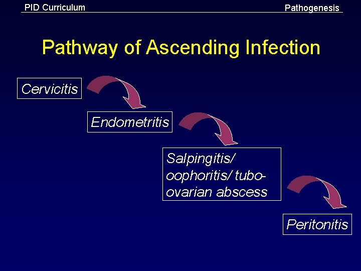PID Curriculum Pathogenesis Pathway of Ascending Infection Cervicitis Endometritis Salpingitis/ oophoritis/ tuboovarian abscess Peritonitis