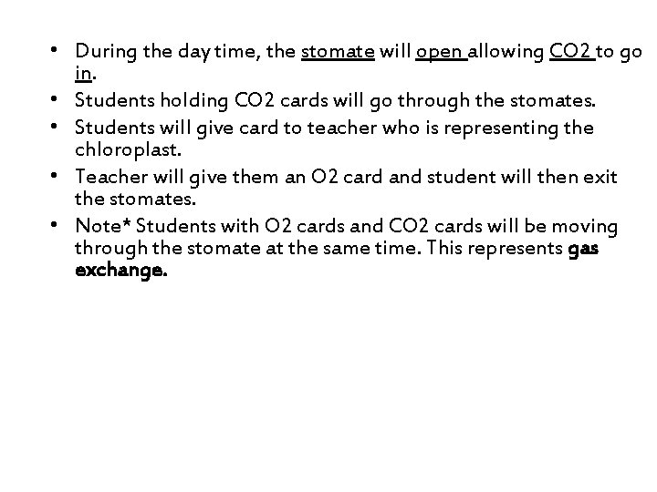  • During the day time, the stomate will open allowing CO 2 to