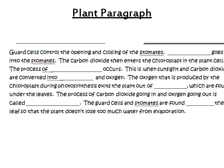 Plant Paragraph 