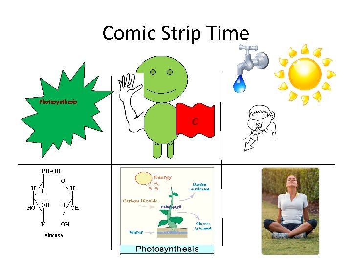 Comic Strip Time Photosynthesis C 