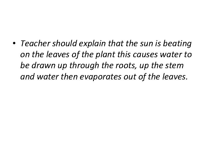  • Teacher should explain that the sun is beating on the leaves of