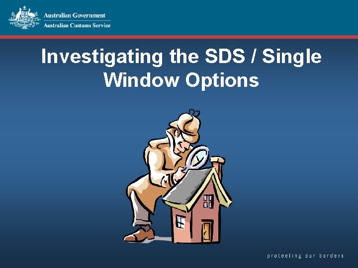Investigating the SDS / Single Window Options 
