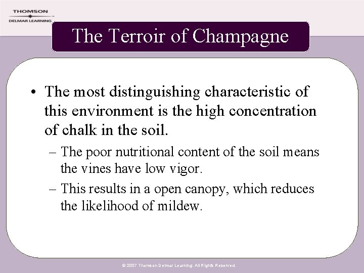 The Terroir of Champagne • The most distinguishing characteristic of this environment is the