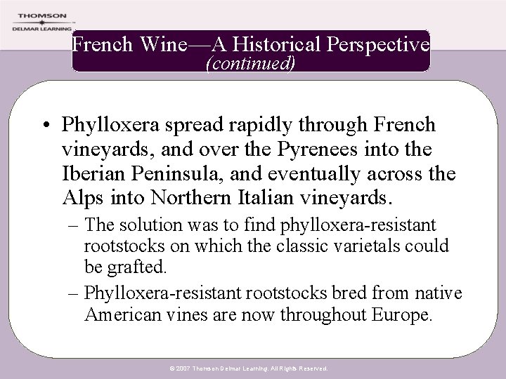 French Wine—A Historical Perspective (continued) • Phylloxera spread rapidly through French vineyards, and over