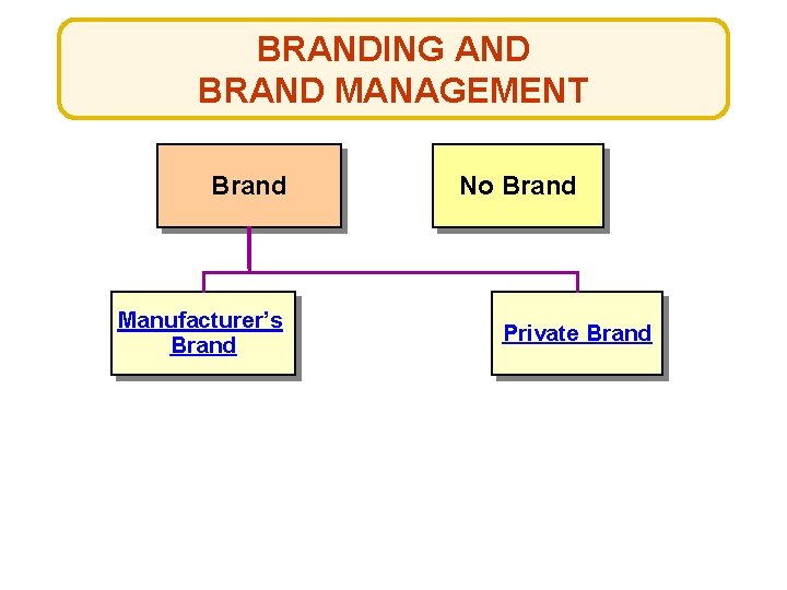 BRANDING AND BRAND MANAGEMENT Brand Manufacturer’s Brand No Brand Private Brand 