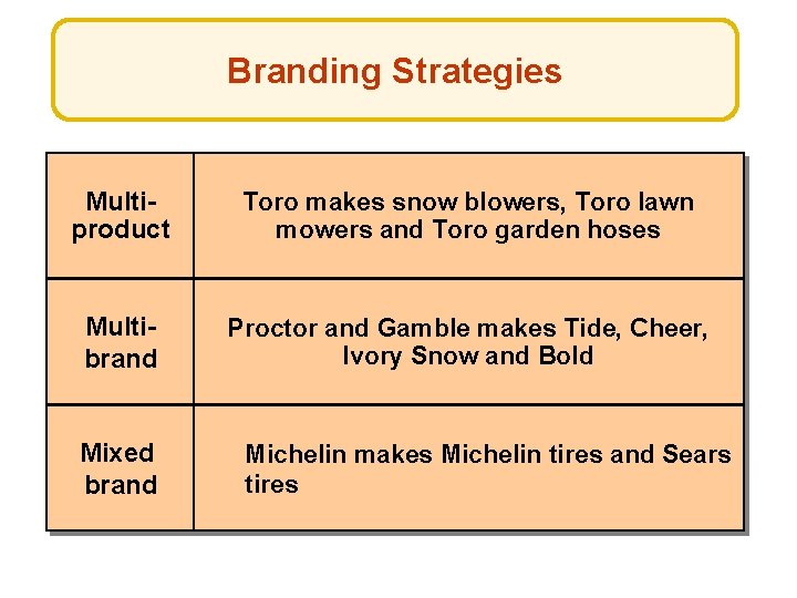 Branding Strategies Multiproduct Toro makes snow blowers, Toro lawn mowers and Toro garden hoses