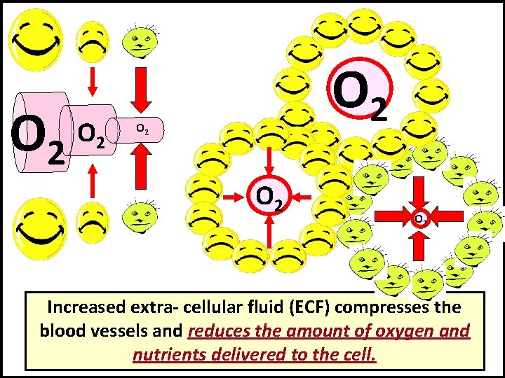 O 2 O 2 O 2 Increased extra- cellular fluid (ECF) compresses the blood