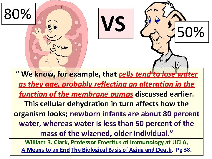 80% VS 50% “ We know, for example, that cells tend to lose water
