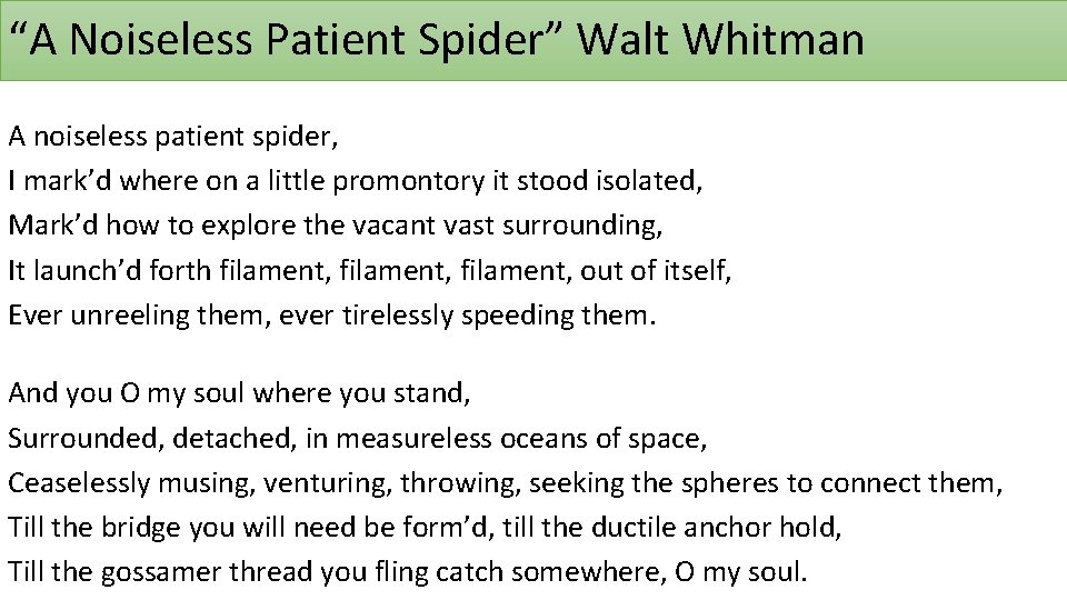 “A Noiseless Patient Spider” Walt Whitman A noiseless patient spider, I mark’d where on