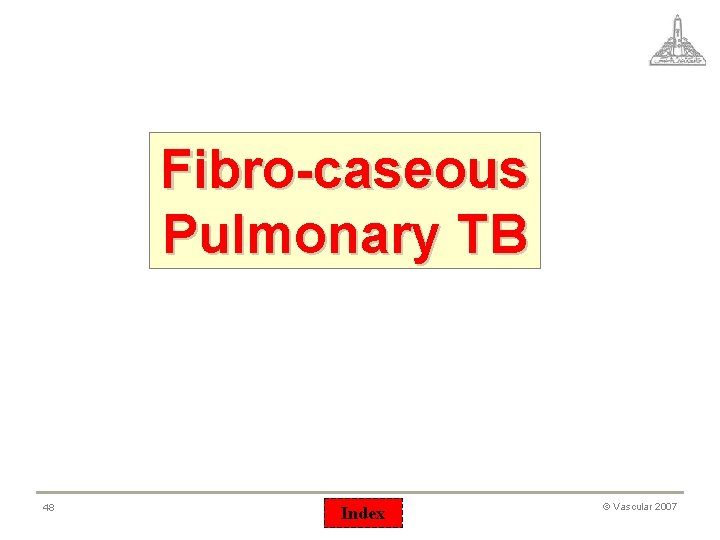 Fibro-caseous Pulmonary TB 48 Index © Vascular 2007 