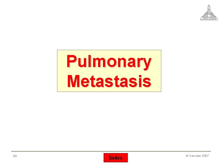 Pulmonary Metastasis 50 Index © Vascular 2007 