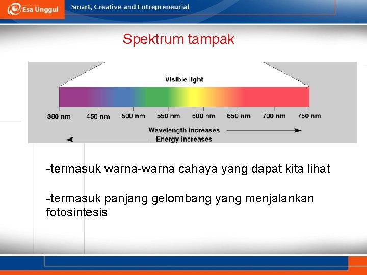 Spektrum tampak -termasuk warna-warna cahaya yang dapat kita lihat -termasuk panjang gelombang yang menjalankan