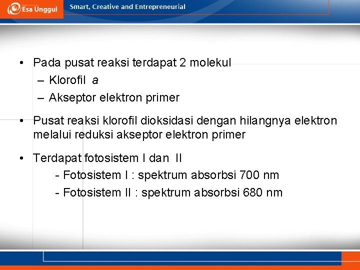  • Pada pusat reaksi terdapat 2 molekul – Klorofil a – Akseptor elektron