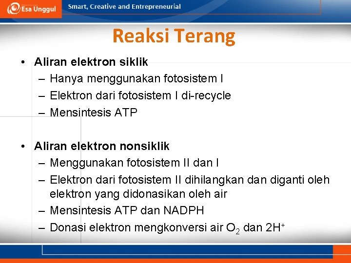 Reaksi Terang • Aliran elektron siklik – Hanya menggunakan fotosistem I – Elektron dari