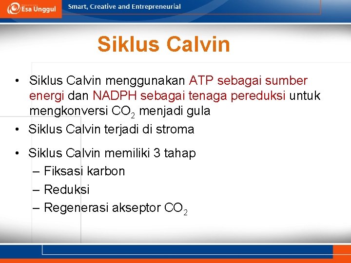 Siklus Calvin • Siklus Calvin menggunakan ATP sebagai sumber energi dan NADPH sebagai tenaga