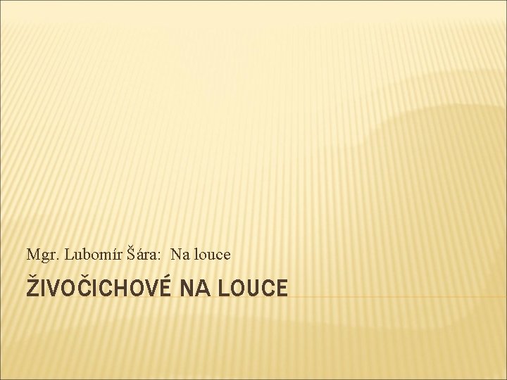 Mgr. Lubomír Šára: Na louce ŽIVOČICHOVÉ NA LOUCE 