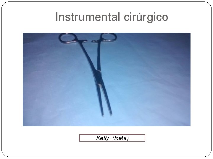 Instrumental cirúrgico Kelly (Reta) 