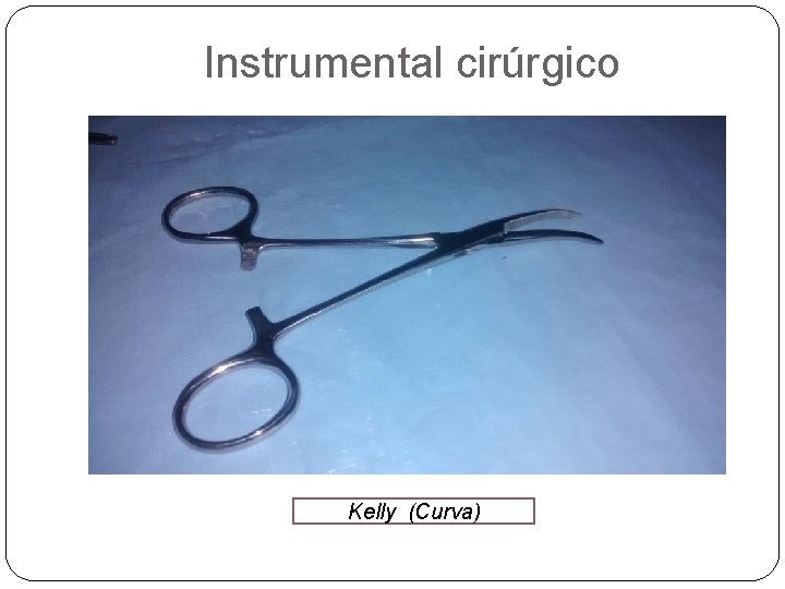 Instrumental cirúrgico Kelly (Curva) 