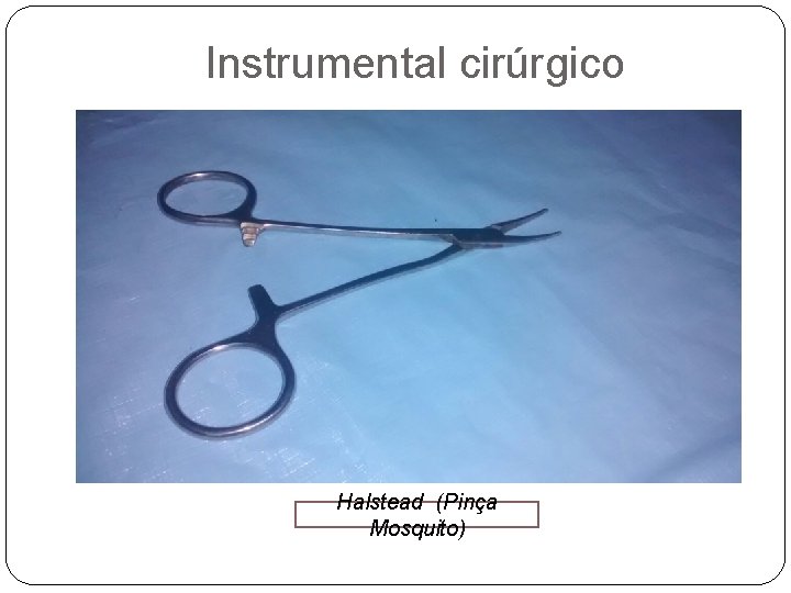 Instrumental cirúrgico Halstead (Pinça Mosquito) 