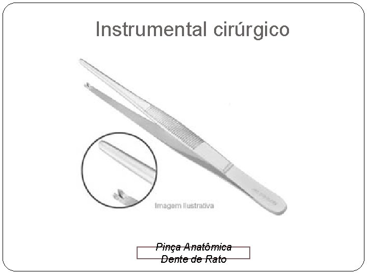 Instrumental cirúrgico Pinça Anatômica Dente de Rato 