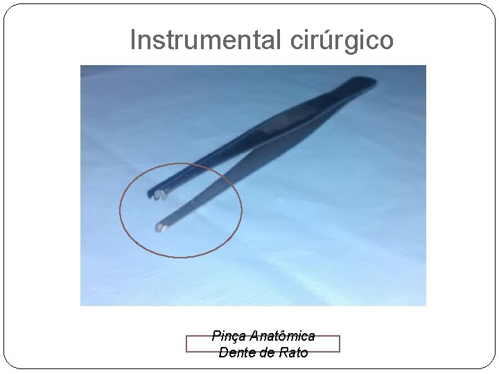 Instrumental cirúrgico Pinça Anatômica Dente de Rato 
