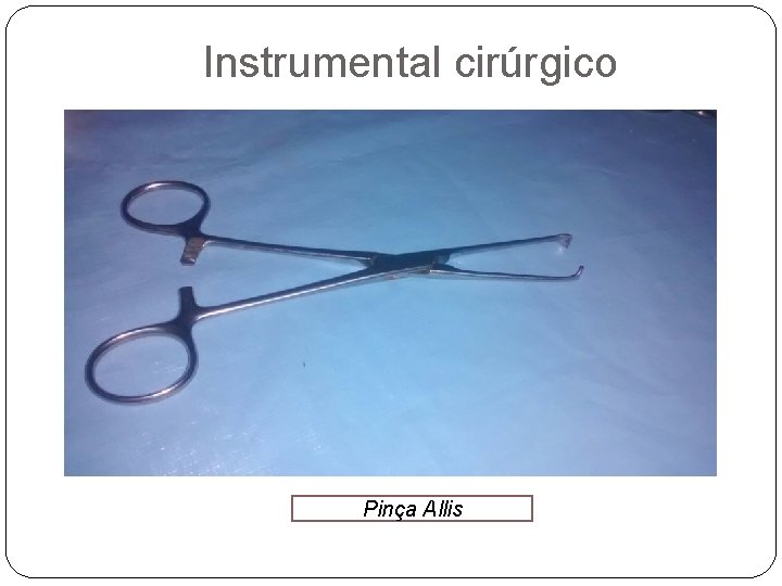Instrumental cirúrgico Pinça Allis 