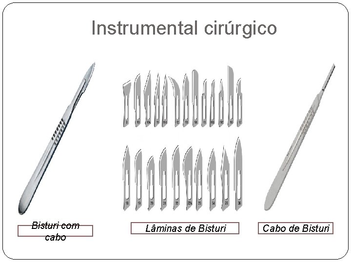 Instrumental cirúrgico Bisturi com cabo Lâminas de Bisturi Cabo de Bisturi 