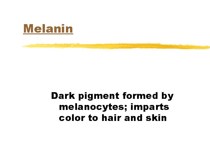 Melanin Dark pigment formed by melanocytes; imparts color to hair and skin 