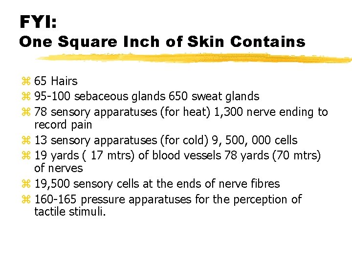 FYI: One Square Inch of Skin Contains z 65 Hairs z 95 -100 sebaceous