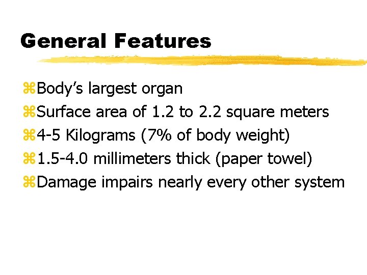 General Features z. Body’s largest organ z. Surface area of 1. 2 to 2.