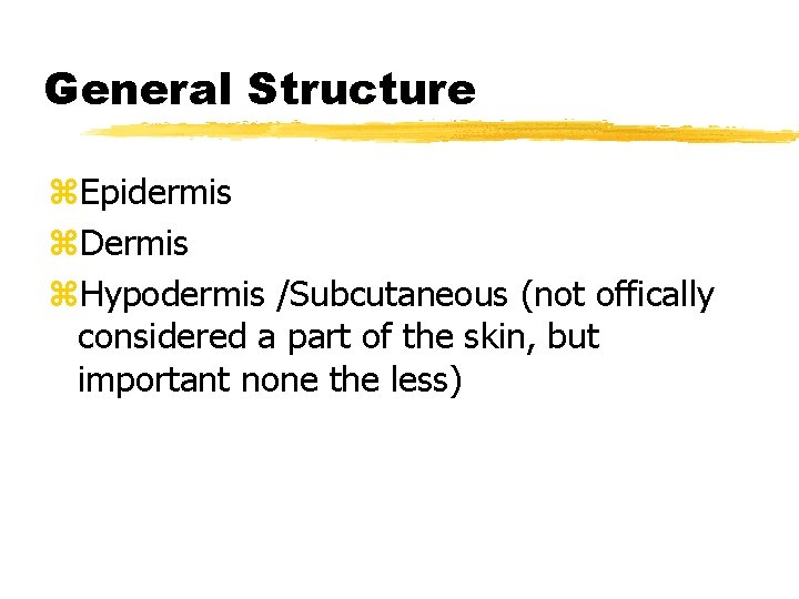 General Structure z. Epidermis z. Dermis z. Hypodermis /Subcutaneous (not offically considered a part