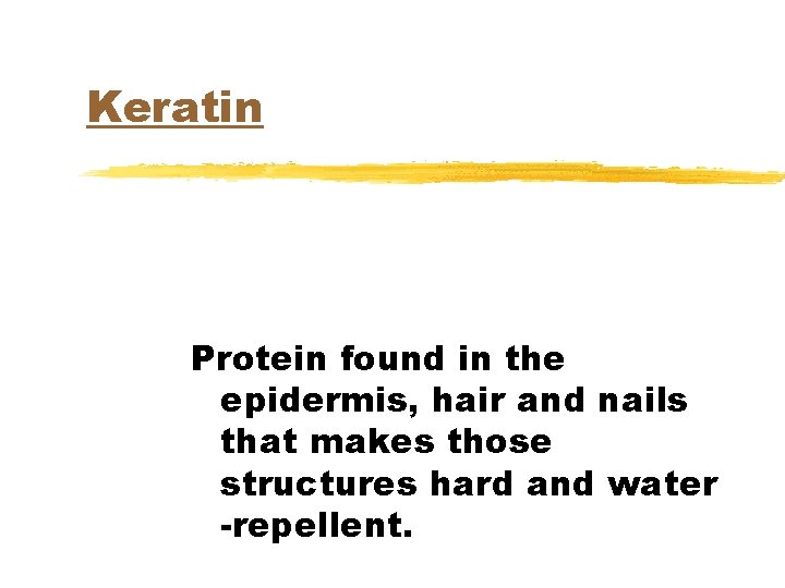 Keratin Protein found in the epidermis, hair and nails that makes those structures hard