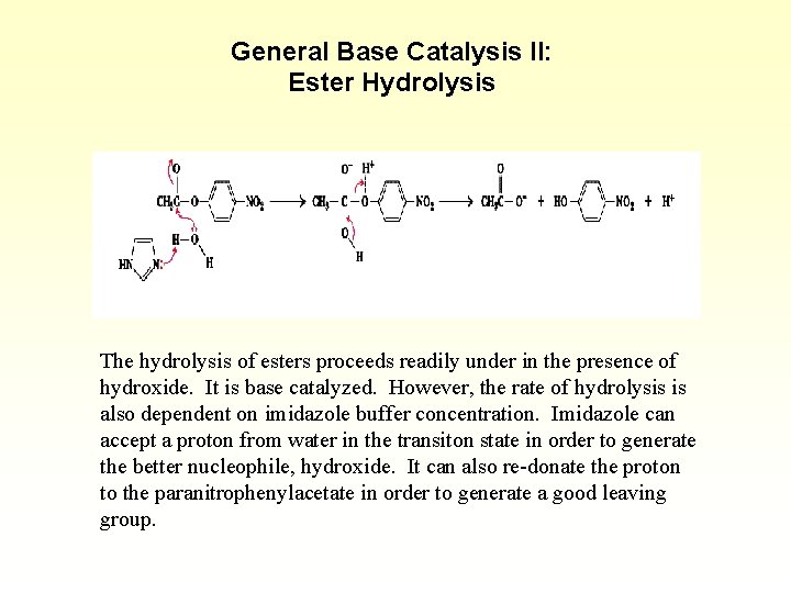 General Base Catalysis II: Ester Hydrolysis The hydrolysis of esters proceeds readily under in