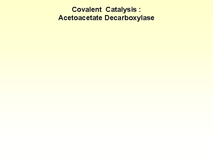 Covalent Catalysis : Acetoacetate Decarboxylase 