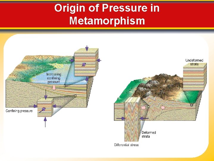 Origin of Pressure in Metamorphism 