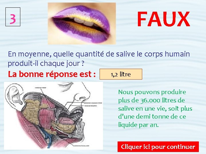 FAUX 3 En moyenne, quelle quantité de salive le corps humain produit-il chaque jour