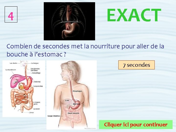 4 EXACT Combien de secondes met la nourriture pour aller de la bouche à