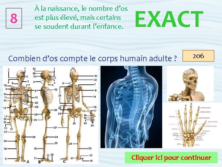 8 À la naissance, le nombre d’os est plus élevé, mais certains se soudent