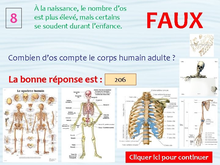 8 À la naissance, le nombre d’os est plus élevé, mais certains se soudent