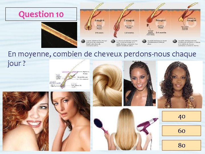 Question 10 En moyenne, combien de cheveux perdons-nous chaque jour ? 40 60 80